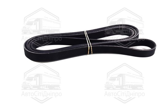 Ремінь полікліновий (Вир-во DAYCO)