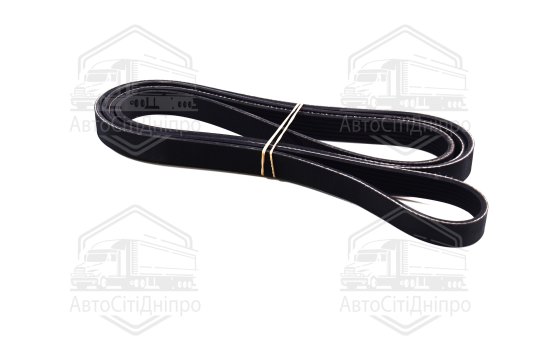 Ремінь полікліновий (Вир-во DAYCO)