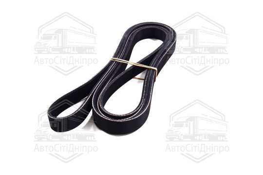 Ремінь полікліновий (Вир-во DAYCO)