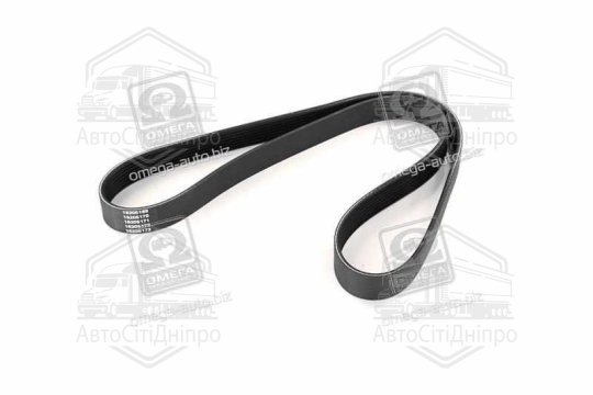 Ремінь поліклін. (Вир-во DAYCO)