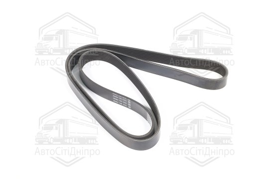 Ремінь полікліновий (Вир-во DAYCO)