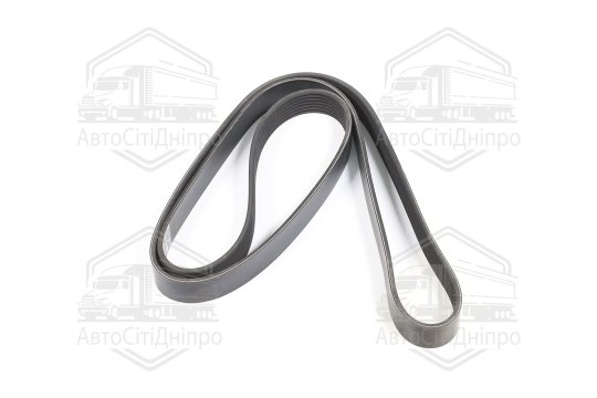 Ремінь полікліновий (Вир-во DAYCO)