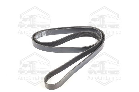 Ремінь полікліновий (Вир-во DAYCO)