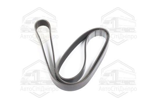 Ремінь полікліновий (Вир-во DAYCO)