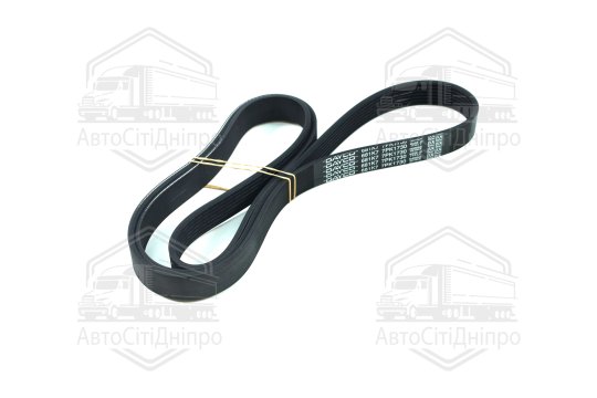 Ремінь поліклін. (вир-во DAYCO)