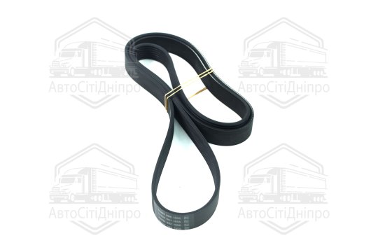 Ремінь поліклін. (вир-во DAYCO)