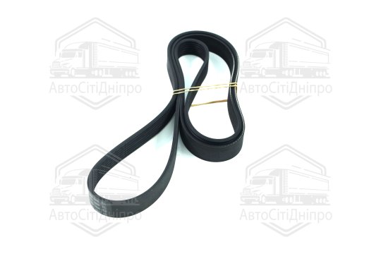 Ремінь поліклін. (вир-во DAYCO)