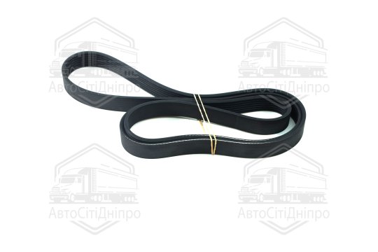 Ремінь поліклін. (вир-во DAYCO)