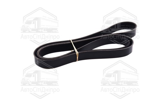 Ремінь поліклін. (Вир-во DAYCO)