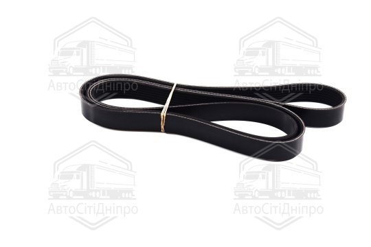 Ремінь поліклін. (Вир-во DAYCO)