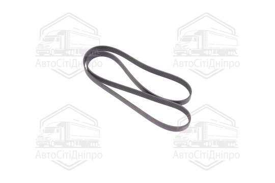 Ремінь поліклин. (вир-во DAYCO)