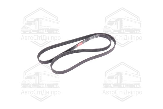 Ремінь поліклин. (вир-во DAYCO)