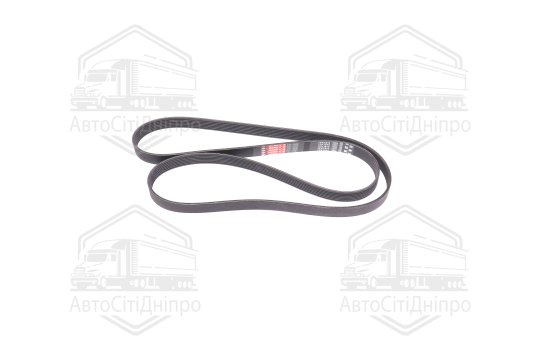 Ремінь поліклин. (вир-во DAYCO)