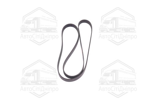 Ремінь поліклин. (вир-во DAYCO)