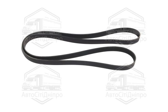 Ремінь  (вир-во DAYCO)