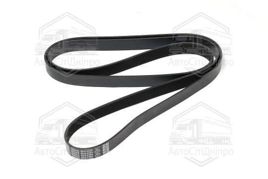 Ремінь полікліновий (Вир-во DAYCO)