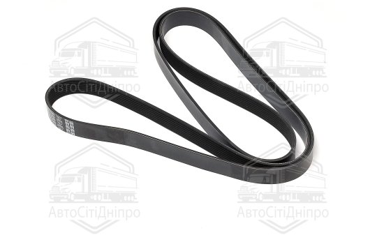 Ремінь полікліновий (Вир-во DAYCO)