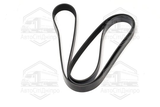 Ремінь полікліновий (Вир-во DAYCO)