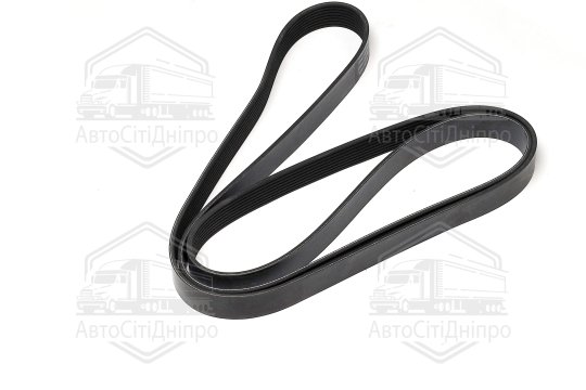 Ремінь полікліновий (Вир-во DAYCO)