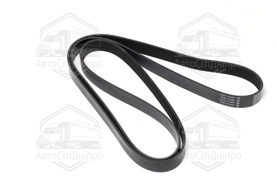 Ремінь полікліновий (Вир-во DAYCO)