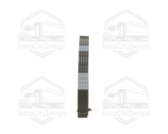 Ремінь зубч. ГРМ FIAT, OPEL (вир-во DAYCO)