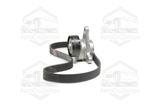 Комплект поліклинового ременя (вир-во DAYCO)