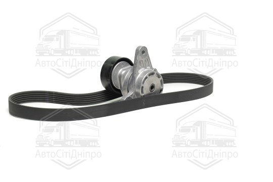 Комплект поліклинового ременя (вир-во DAYCO)