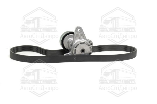 Комплект поліклинового ременя (вир-во DAYCO)