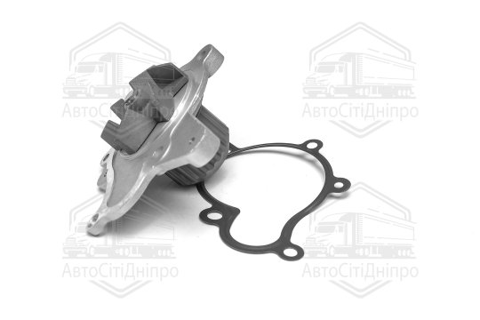 Насос водяний (вир-во Dolz)