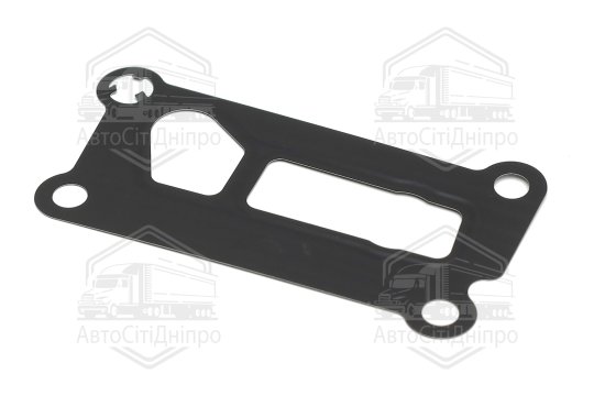 Прокладка, корпус фільтра масляного FORD 1,8/2,0/2,5 16V (вир-во Elring)