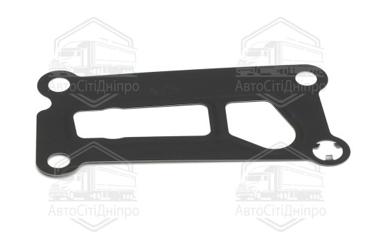 Прокладка, корпус фільтра масляного FORD 1,8/2,0/2,5 16V (вир-во Elring)