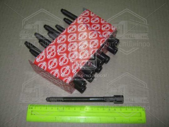 Болт головки блоку (компл.) VAG 1.8 20V AGN/AGU/APG (вир-во Elring)