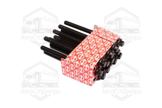 Комплект болтів головки цилідра VOLVO 2,4CDI D5244T (вир-во Elring)