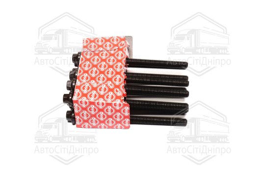 Комплект болтів головки цилідра VOLVO 2,4CDI D5244T (вир-во Elring)