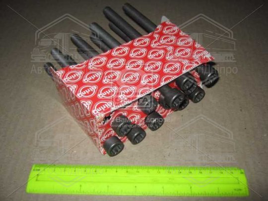 Болт головки блоку (компл.) VAG 2.5TDI AXD/AXE/BAC/BLJ/BLK/BNZ/BPC/BPD/BPE (вир-во Elring)
