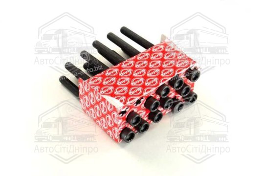 Болт головки блоку (компл.) VAG 2.5TDI AXD/AXE/BAC/BLJ/BLK/BNZ/BPC/BPD/BPE (вир-во Elring)