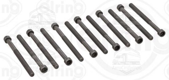 Болт головки блоку (компл.) VAG 2.5TDI AXD/AXE/BAC/BLJ/BLK/BNZ/BPC/BPD/BPE (вир-во Elring)