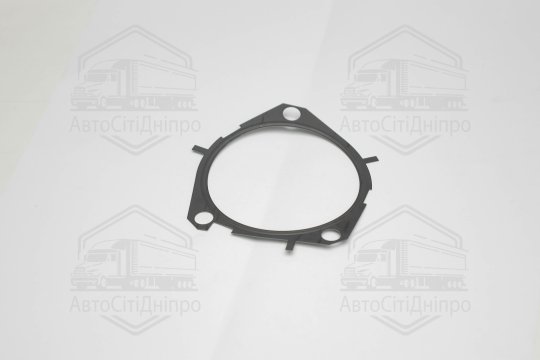 Прокладка водяний насос FIAT/OPEL 1,9 JTD (вир-во Elring)