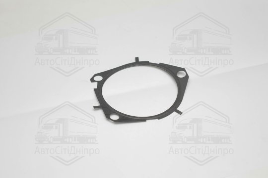 Прокладка водяний насос FIAT/OPEL 1,9 JTD (вир-во Elring)