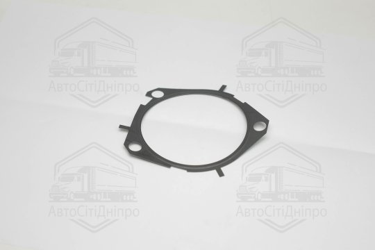 Прокладка водяний насос FIAT/OPEL 1,9 JTD (вир-во Elring)