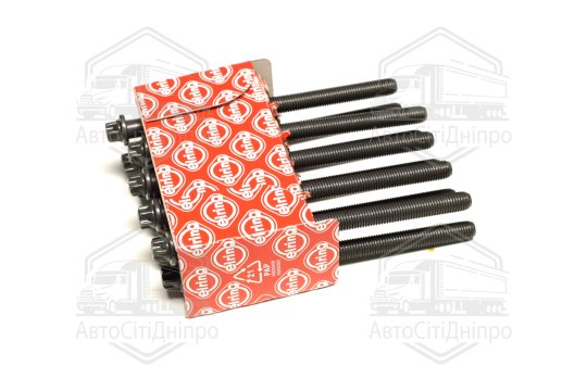 Комплект болтів головки блоку циліндрів MB M260/M264/M270/M274 (вир-во Elring)