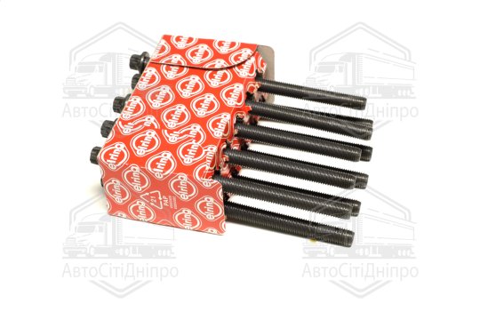 Комплект болтів головки блоку циліндрів MB M260/M264/M270/M274 (вир-во Elring)