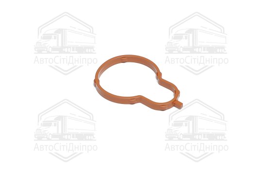 Прокладка впускний колектор VW 2,0 8V CBPA/CKJA 05-17 (вир-во Elring)
