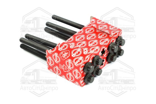 Комплект болтів головки блоку циліндрів 8 шт MB M276 (2) (вир-во Elring)