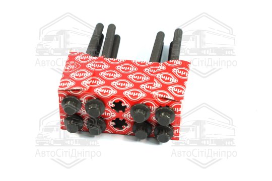 Комплект болтів головки блоку циліндрів 8 шт MB M276 (2) (вир-во Elring)