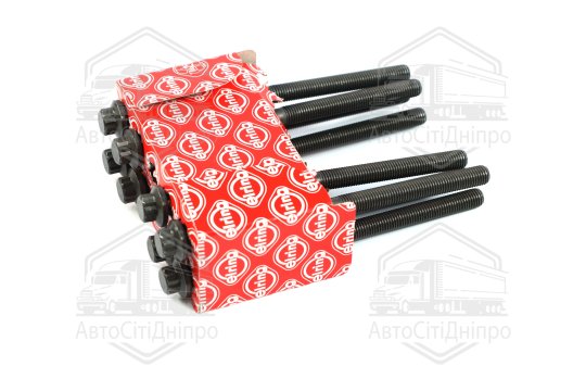 Комплект болтів головки блоку циліндрів 8 шт MB M276 (2) (вир-во Elring)