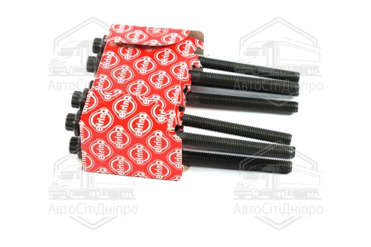 Комплект болтів головки блоку циліндрів 8 шт MB M276 (2) (вир-во Elring)