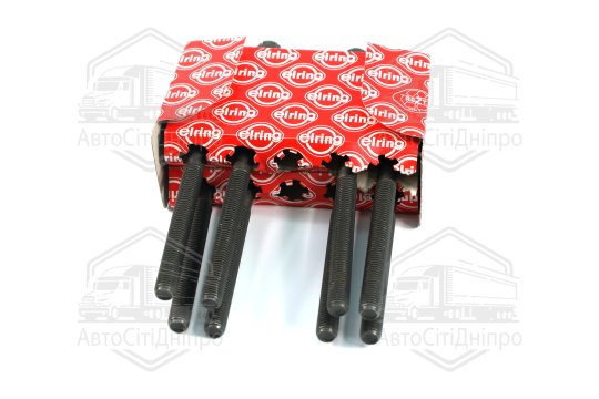 Комплект болтів головки блоку циліндрів 8 шт MB M276 (2) (вир-во Elring)