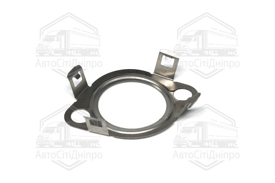 Ущільнення, клапан системи рециркуляції ВГ (вир-во Fischer)