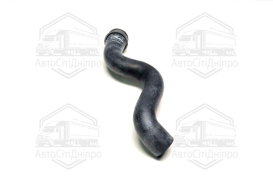 Шланг радіатора